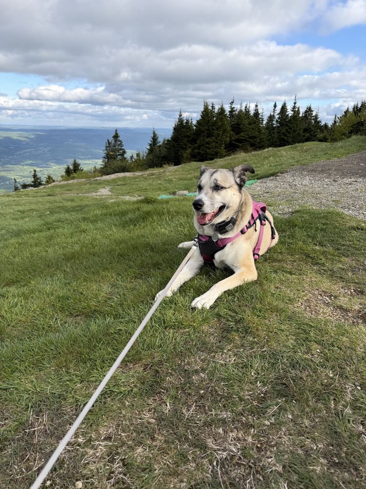 Rey resting on a grassy mountaintop with valleys and clouds behind her